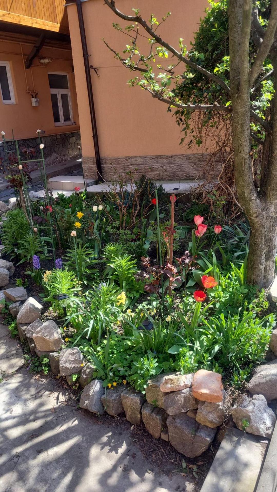 John Residence Apartment Brasov With Parking Option Extérieur photo